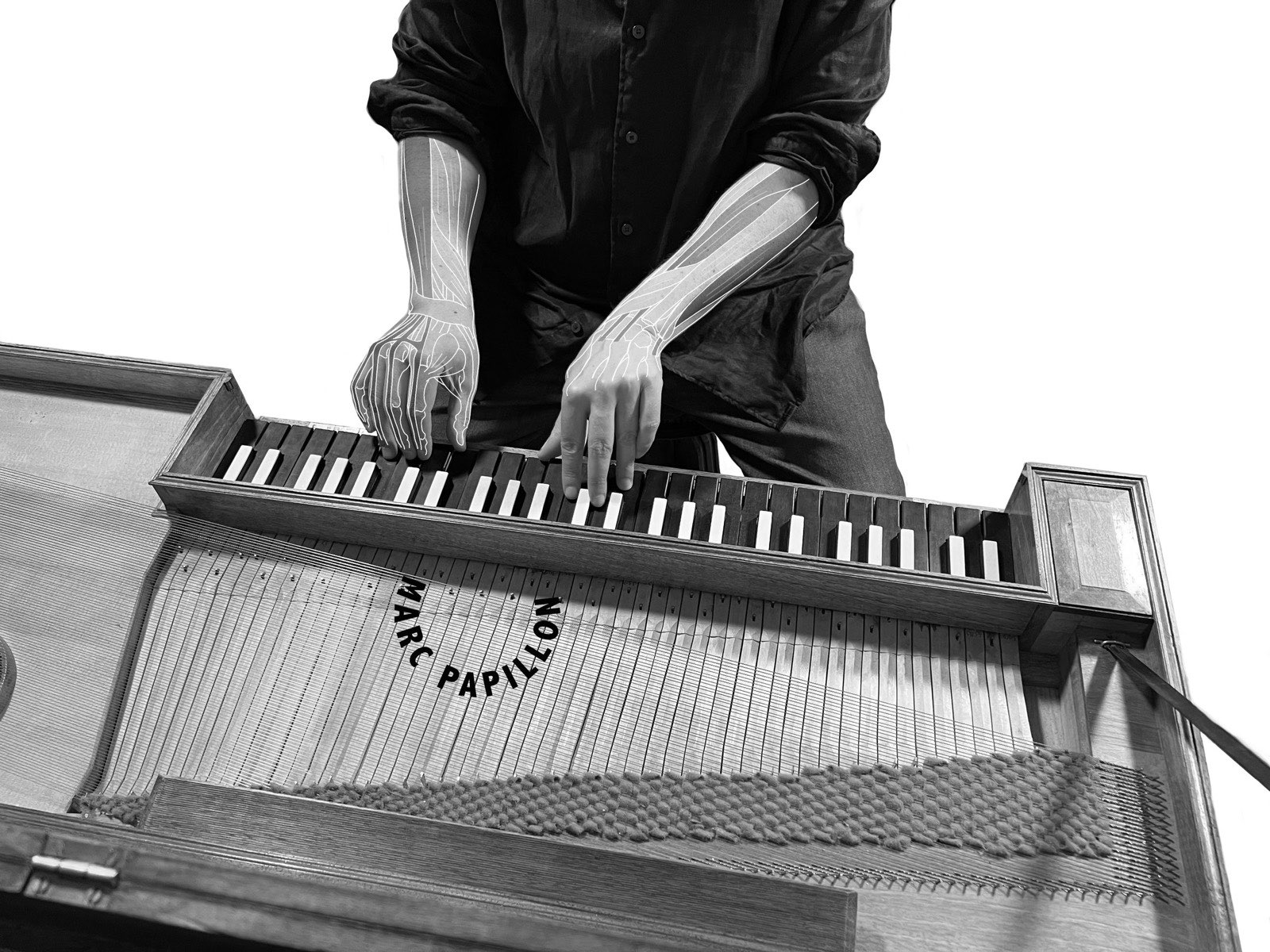 Des mains sur un clavecin, os et tendons dessinés.